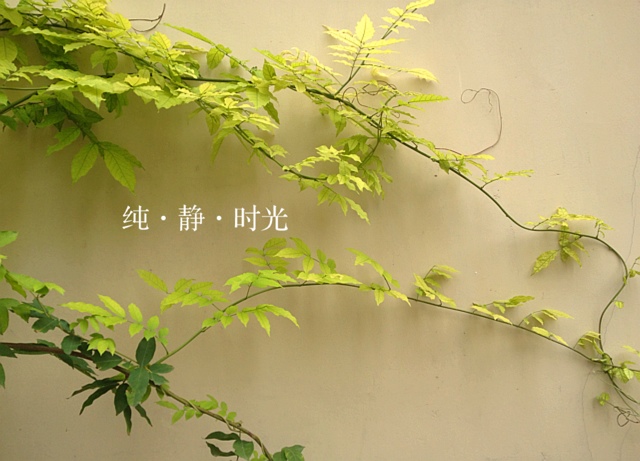 周末時(shí)光到來，好好去放松吧！